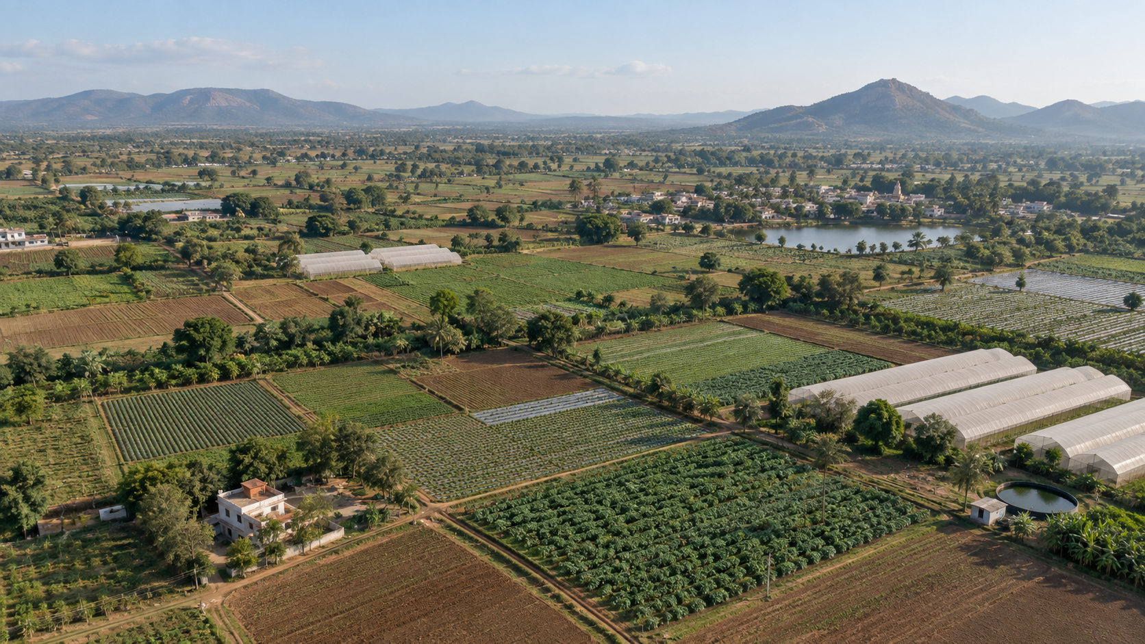 Agricultural fields and polyhouses across a rural landscape